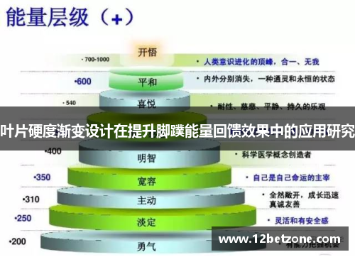 叶片硬度渐变设计在提升脚蹼能量回馈效果中的应用研究