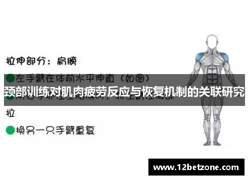 颈部训练对肌肉疲劳反应与恢复机制的关联研究